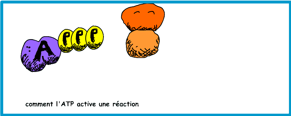 couplage reaction